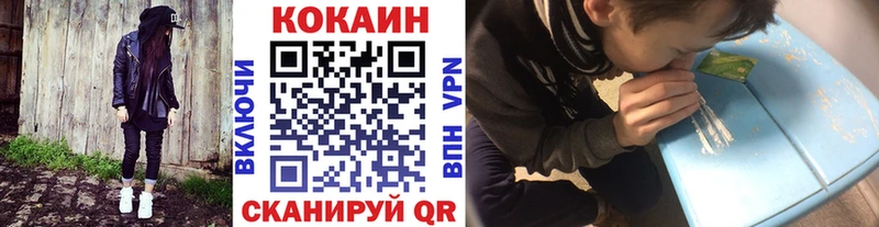 Кокаин Fish Scale  Купить закладки  Новоульяновск 