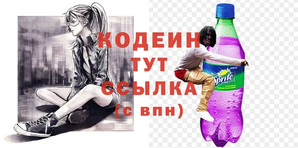 гашик Коряжма