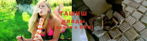гашик Коряжма